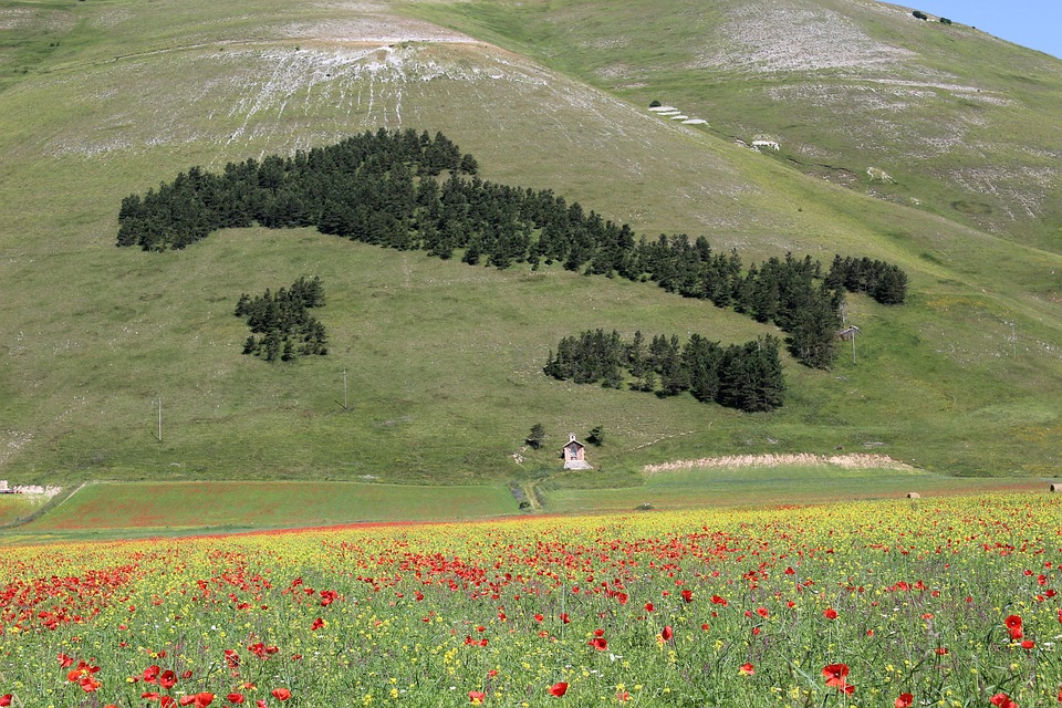 CASTELLUCCIO DI NORCIA